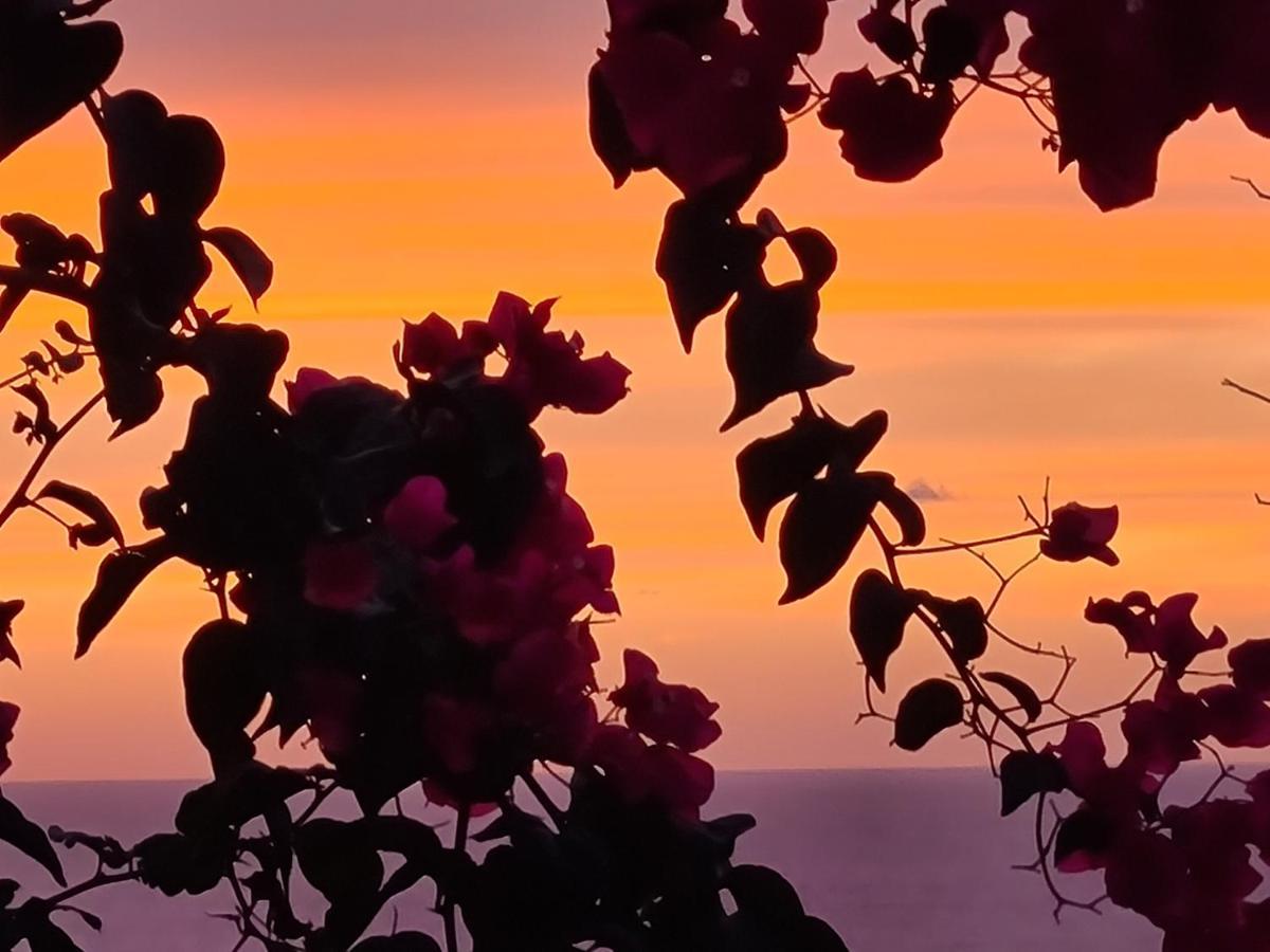 קאסטלסארדו “Cielo E Mare”, Casetta Nel Cuore Del Borgo Antico / “Sky & Sea”, Charming In The Heart Of Old Village מראה חיצוני תמונה